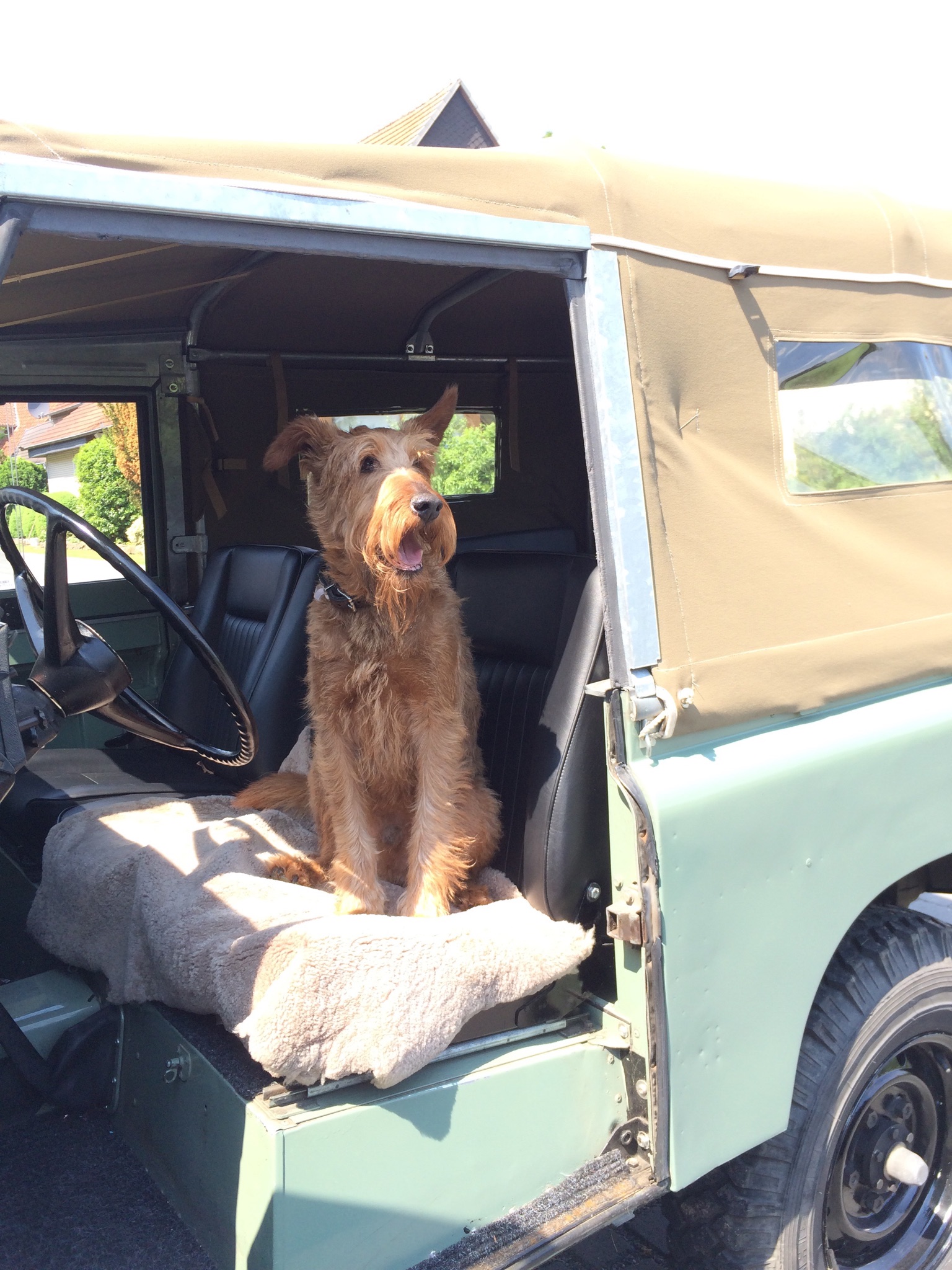 Britta R. aus Melle - Land Rover Digitale Parade